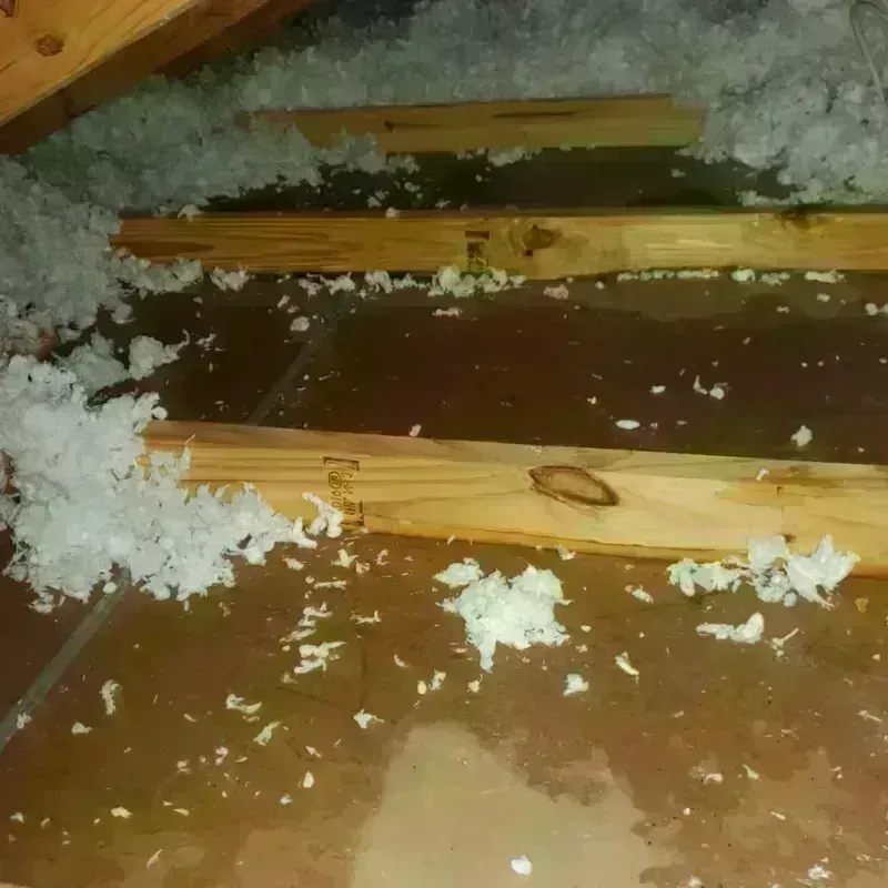 Attic Water Damage in Burnham, IL