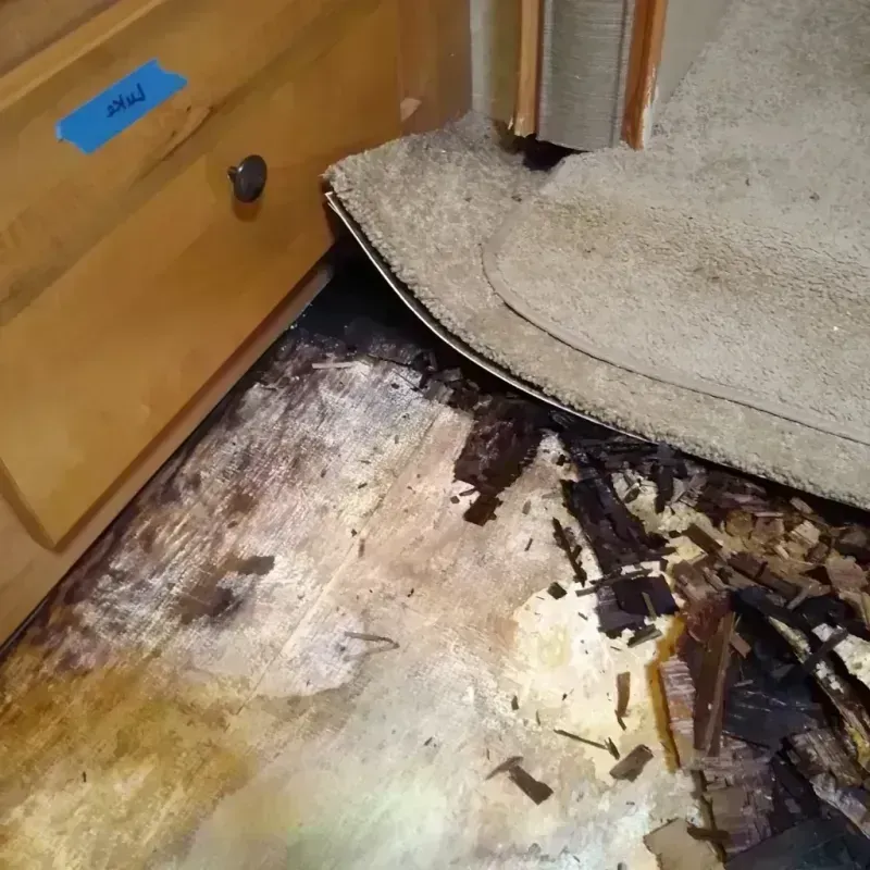 Best Wood Floor Water Damage Service in Burnham, IL